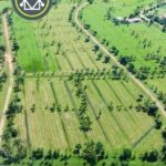 listing image thumbnail with ID 53617