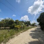 listing image thumbnail with ID 52006