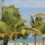 listing image thumbnail with ID 54565