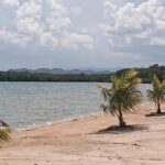 listing image thumbnail with ID 53902