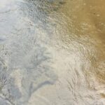 listing image thumbnail with ID 54485