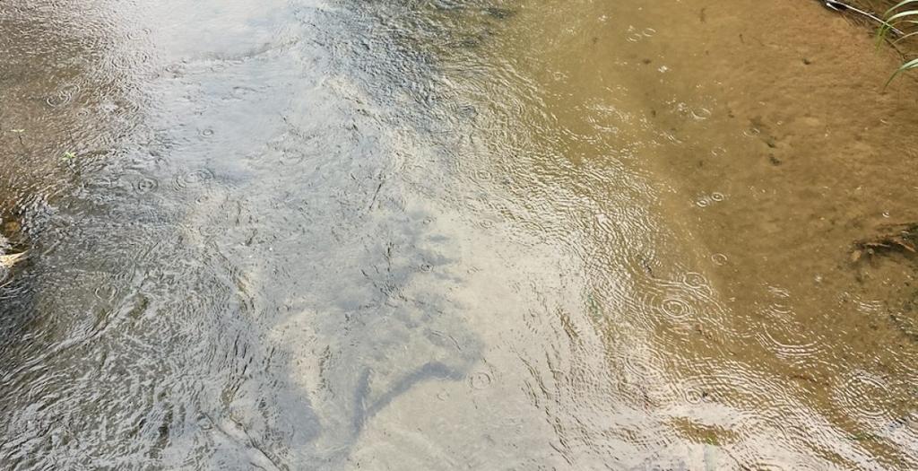listing image with ID 54485
