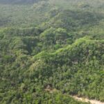 listing image thumbnail with ID 52924