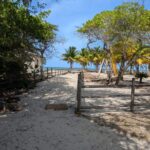 listing image thumbnail with ID 51252