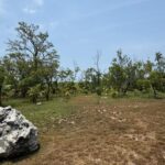 listing image thumbnail with ID 53206