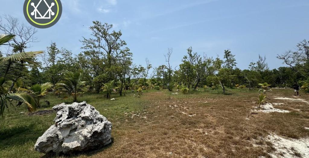 listing image with ID 53206