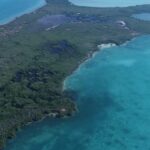 listing image thumbnail with ID 52423