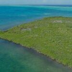 listing image thumbnail with ID 52432