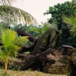 listing image thumbnail with ID 52890