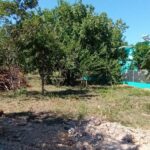 listing image thumbnail with ID 53682