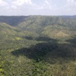 listing image thumbnail with ID 54340