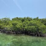 listing image thumbnail with ID 53202