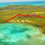 listing image thumbnail with ID 56036