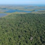 listing image thumbnail with ID 54161