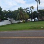 listing image thumbnail with ID 54219