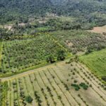 listing image thumbnail with ID 56218