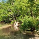 listing image thumbnail with ID 53830