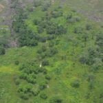 listing image thumbnail with ID 53624