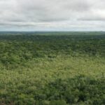 listing image thumbnail with ID 53892