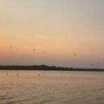 listing image thumbnail with ID 52111