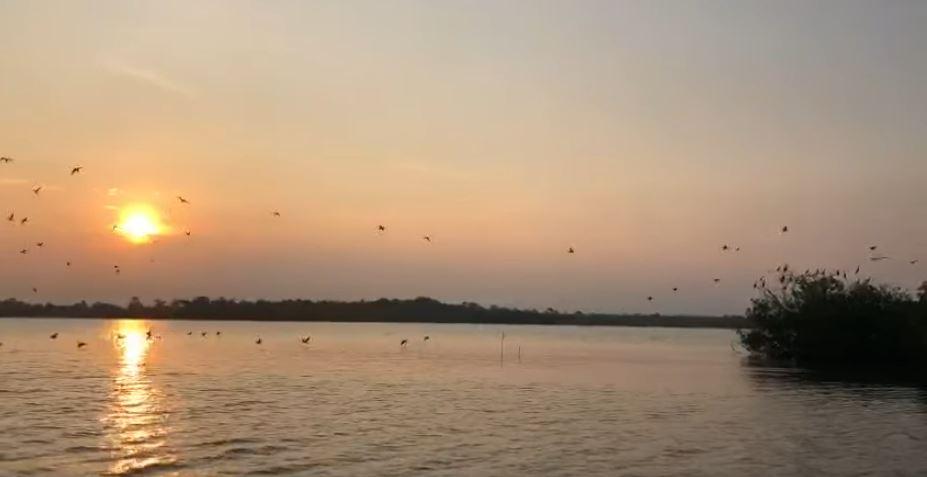 listing image with ID 52111