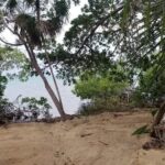 listing image thumbnail with ID 54455