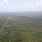 listing image thumbnail with ID 54339