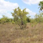 listing image thumbnail with ID 53963