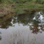 listing image thumbnail with ID 52306