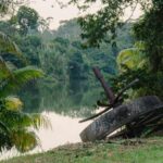 listing image thumbnail with ID 52896