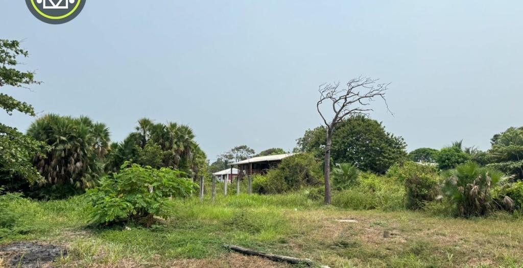 listing image with ID 54085