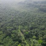 listing image thumbnail with ID 52925