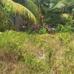 listing image thumbnail with ID 52611