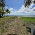 listing image thumbnail with ID 55331