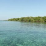 listing image thumbnail with ID 53951