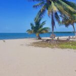 listing image thumbnail with ID 52485