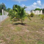 listing image thumbnail with ID 52646