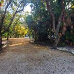 listing image thumbnail with ID 54506