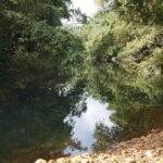 listing image thumbnail with ID 56390