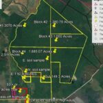 listing image thumbnail with ID 54492