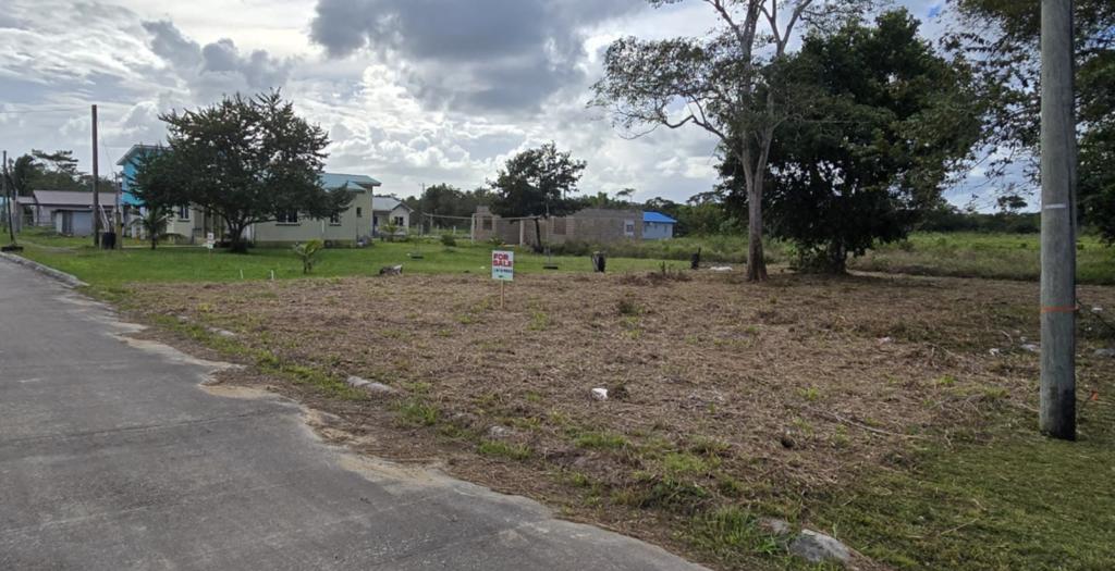 listing image with ID 52756