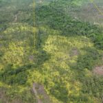 listing image thumbnail with ID 51776