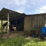 listing image thumbnail with ID 56393