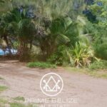 listing image thumbnail with ID 52487