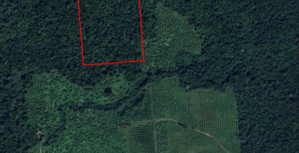 listing image with ID 54123