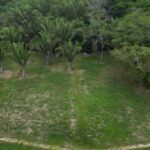 listing image thumbnail with ID 52275