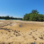 listing image thumbnail with ID 53938