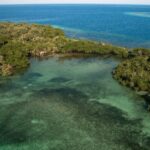 listing image thumbnail with ID 53953