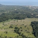 listing image thumbnail with ID 52859