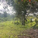 listing image thumbnail with ID 54693